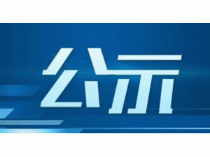 ʾ̶ʲͶֹ֧Ŀ嵥