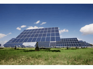 �㶫��֯��չ�����������漯��ʽ�����վ���������ù���