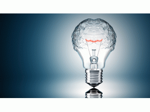 ��������糧��ʽ��Ӫ �״β�������г�����