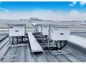 ŷ�˶����й������