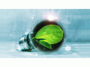 �����ĵ����ֻ��г��������������й�������V2.0��4��1����ִ��