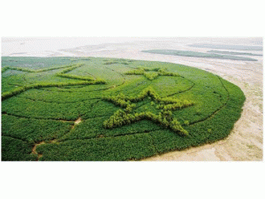 �ຣ������̼԰�����跽������ȷ�Ŵ�������