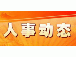 񲨴ȥ³ְ
