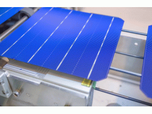 1.14��Ԫ!*ST���2.96%��Ȩ������ľ���